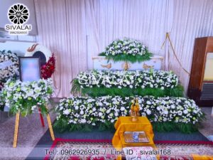 รหัสสินค้า B08