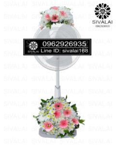 รหัสสินค้า FA02