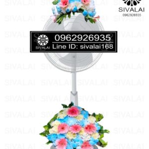 รหัสสินค้า FA03