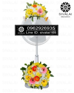 รหัสสินค้า FA09