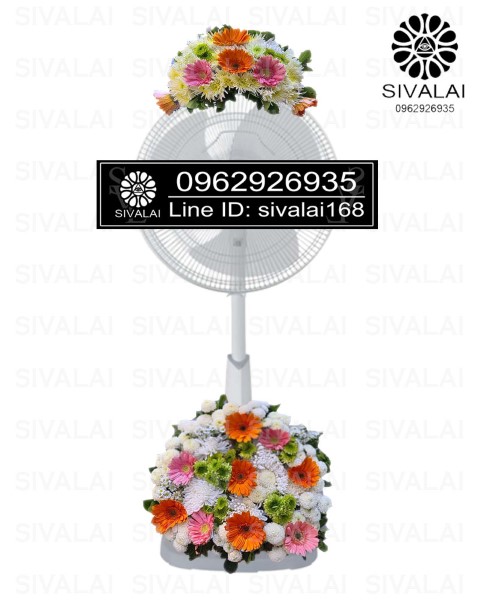 รหัสสินค้า FA12