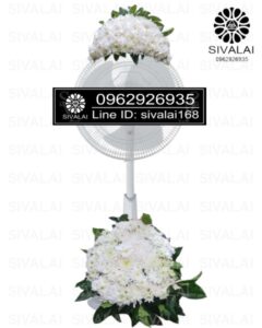 รหัสสินค้า FA13