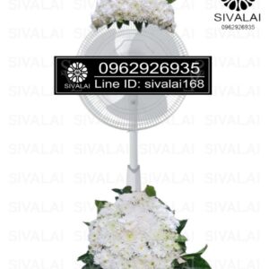 รหัสสินค้า FA13