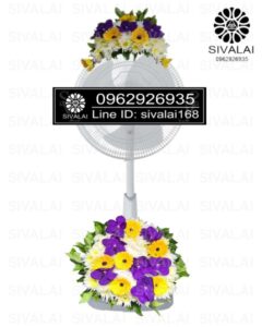 รหัสสินค้า FA17