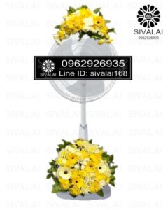 รหัสสินค้า FA19