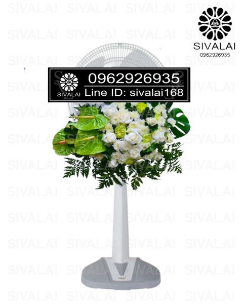 รหัสสินค้า FA21