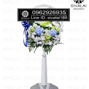 รหัสสินค้า FA22