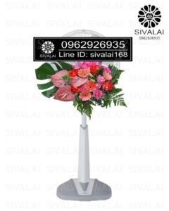 รหัสสินค้า FA23
