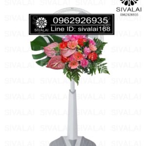 รหัสสินค้า FA23