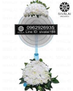 รหัสสินค้า FB01