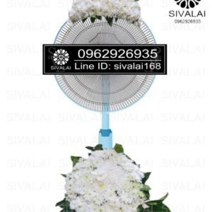 รหัสสินค้า FB01