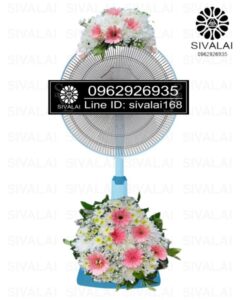 รหัสสินค้า FB02