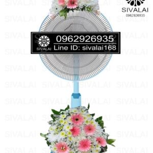 รหัสสินค้า FB02