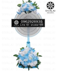 รหัสสินค้า FB03