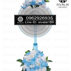 รหัสสินค้า FB03