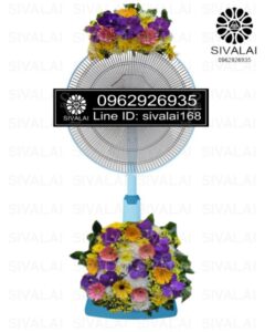 รหัสสินค้า FB04