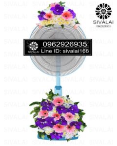 รหัสสินค้า FB10