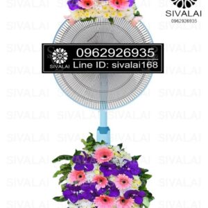 รหัสสินค้า FB10
