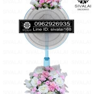 รหัสสินค้า FB16