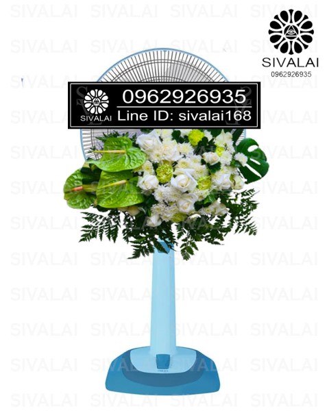 รหัสสินค้า FB21