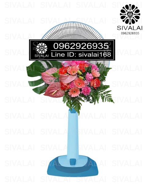 รหัสสินค้า FB23