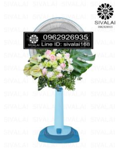 รหัสสินค้า FB24