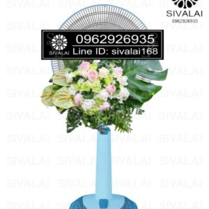 รหัสสินค้า FB24