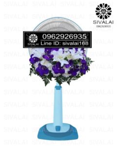 รหัสสินค้า FB25
