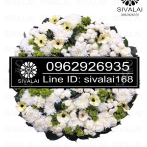 รหัสสินค้า RB001