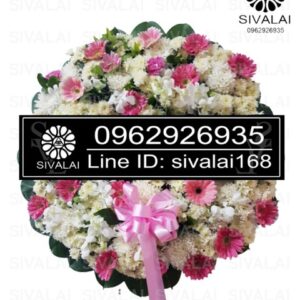 รหัสสินค้า RB003