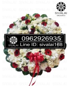 รหัสสินค้า RB017