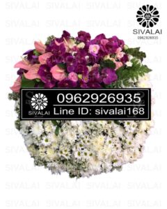 รหัสสินค้า RD005