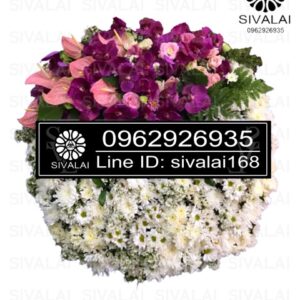 รหัสสินค้า RD005