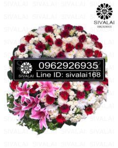 รหัสสินค้า RD006