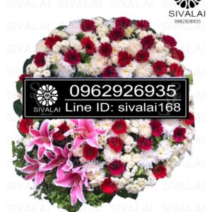 รหัสสินค้า RD006