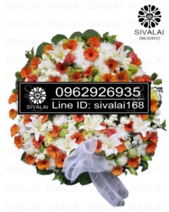 รหัสสินค้า RD008