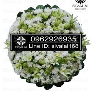 รหัสสินค้า RD013