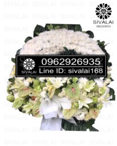 รหัสสินค้า RD019