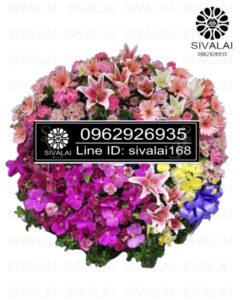 รหัสสินค้า RE010