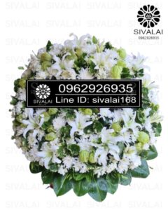 รหัสสินค้า RE015