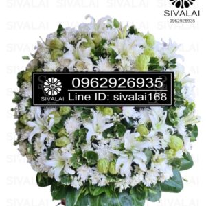 รหัสสินค้า RE015