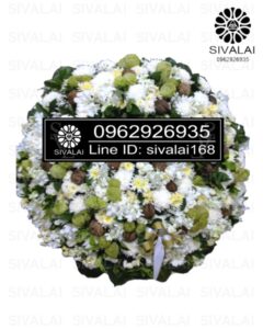 รหัสสินค้า RE017