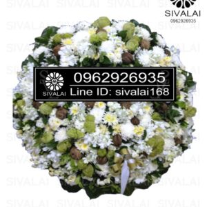 รหัสสินค้า RE017