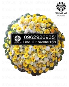 รหัสสินค้า RF006