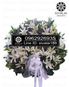 รหัสสินค้า RF008