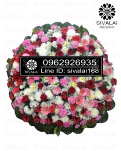 รหัสสินค้า RF012