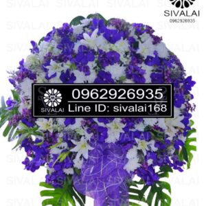 รหัสสินค้า RF019